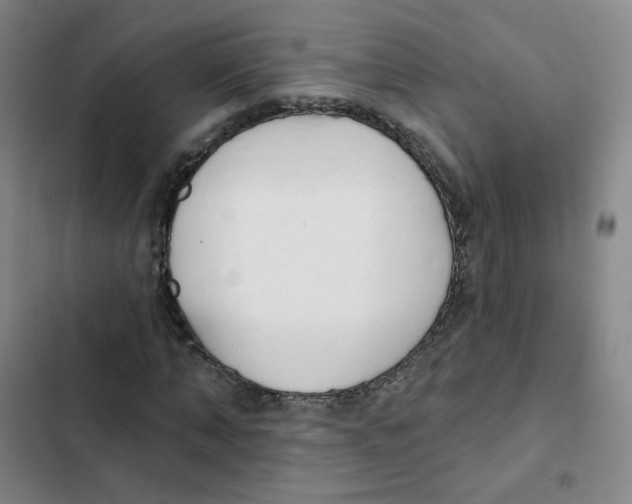 X0000102850870200809151125