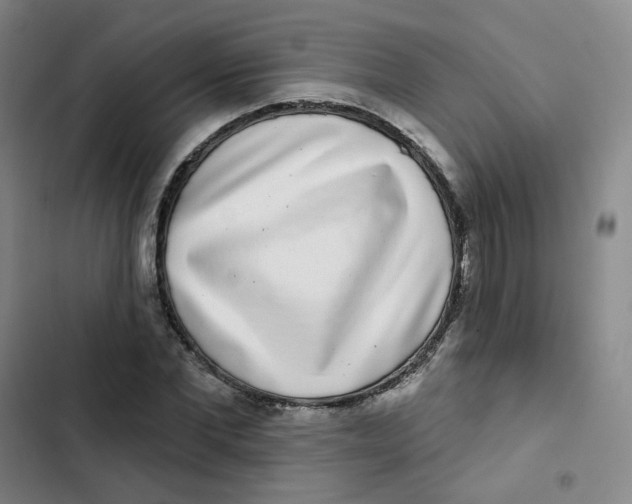 X0000102850877200809151125