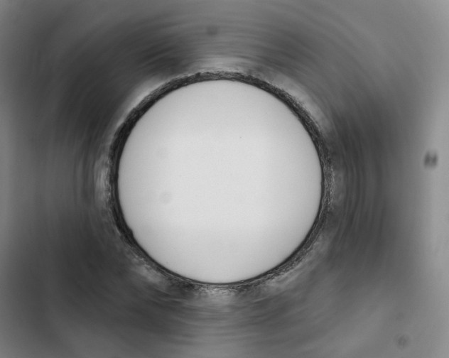 X0000102850878200809151125