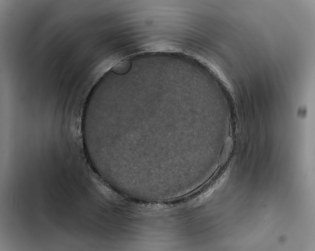 X0000102850881200809151125