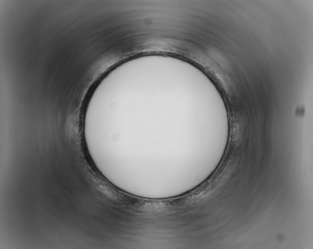 X0000102850882200809151125