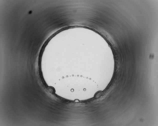 X0000102850884200809151125