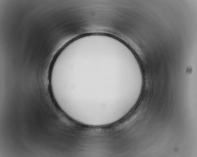 X0000102850885200809151125