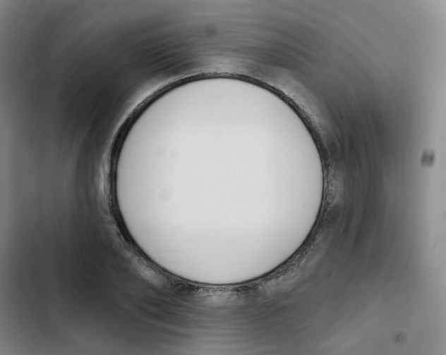 X0000102850886200809151125