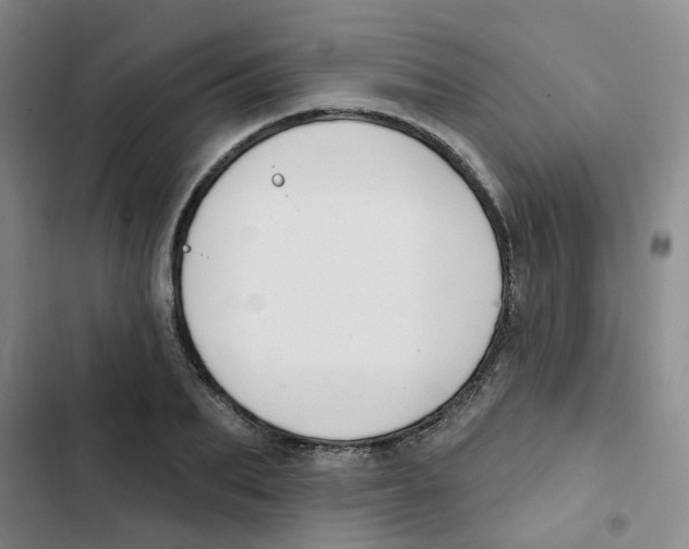 X0000102850887200809151125