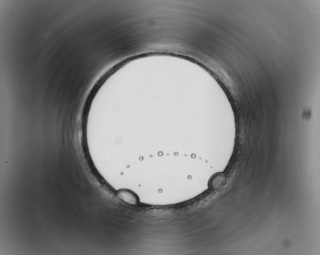 X0000102850888200809151125