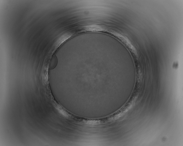 X0000102850889200809151124