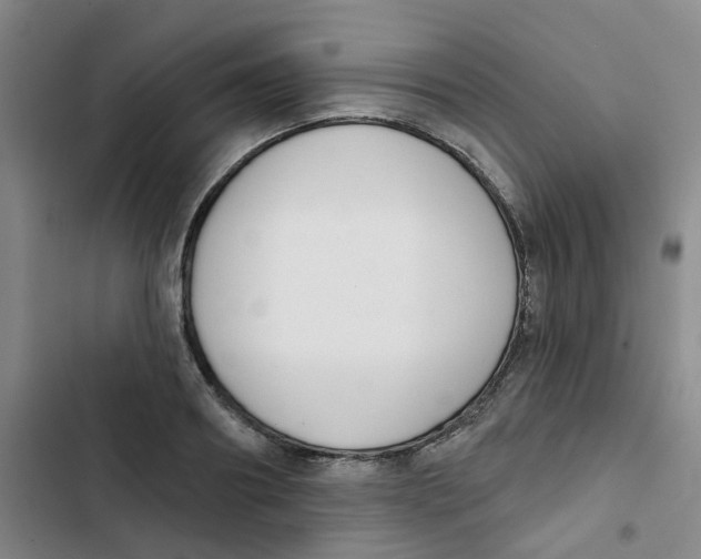 X0000102850890200809151124