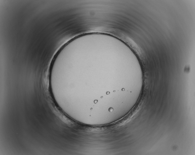 X0000102850892200809151124