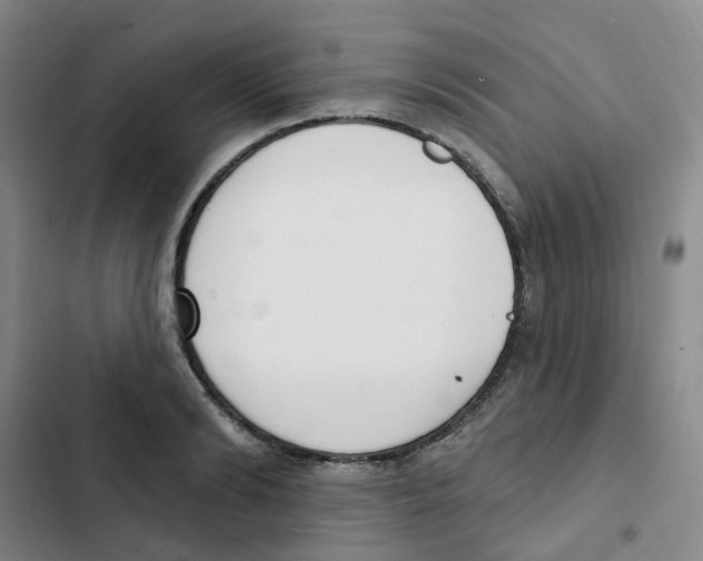 X0000102850894200809151124