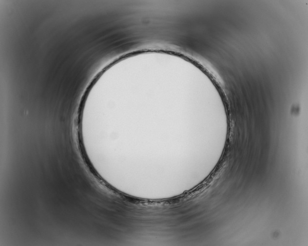 X0000102850895200809151124