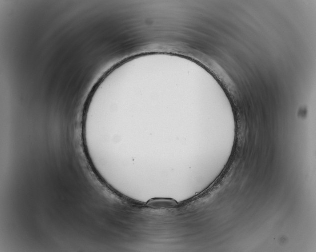 X0000102850896200809151124