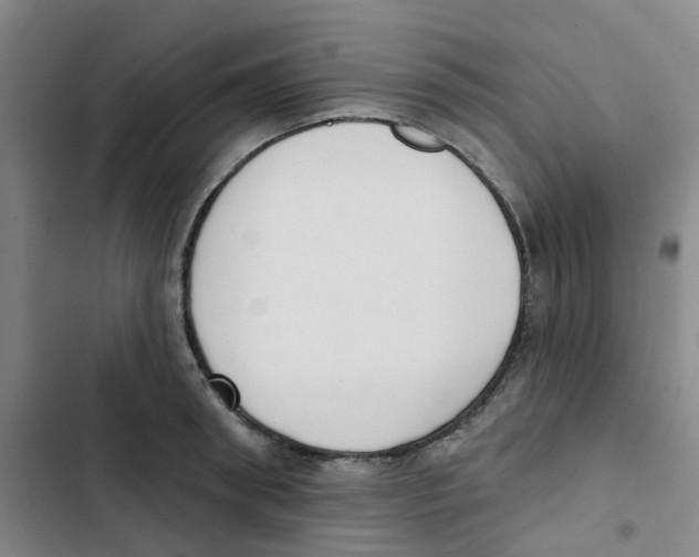 X0000102850898200809151124