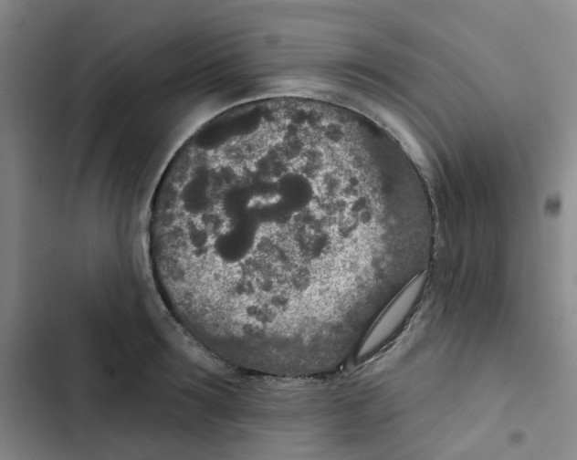 X0000102850899200809151124