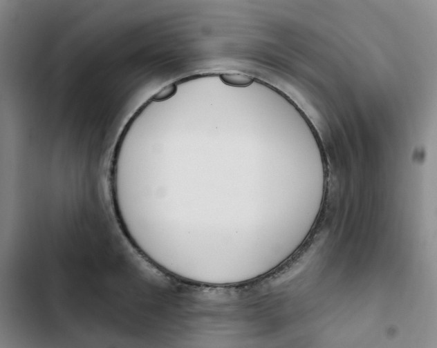 X0000102850901200809151124