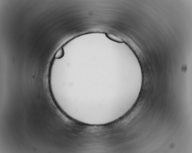 X0000102850902200809151124