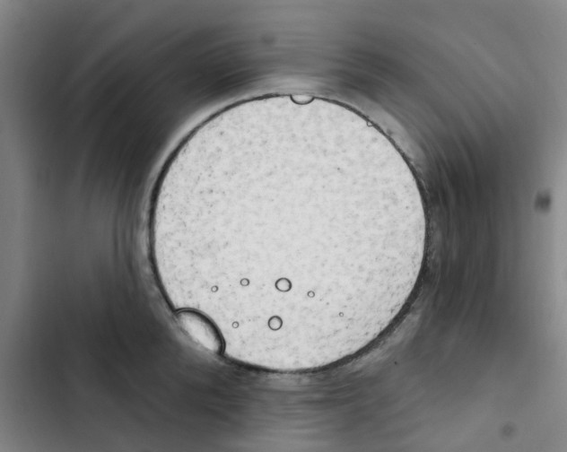 X0000102850904200809151124