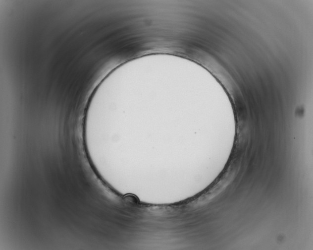 X0000102850906200809151124