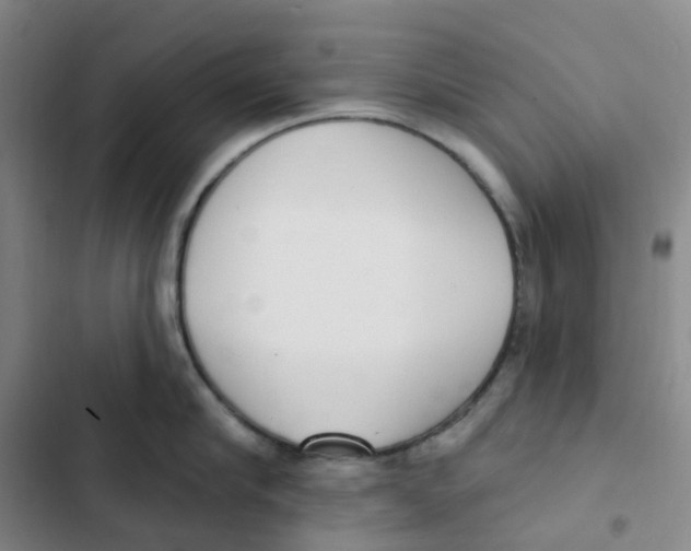 X0000102850910200809151124