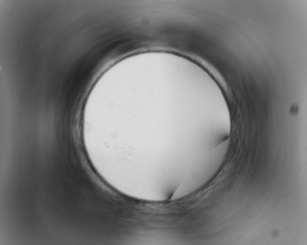 X0000102850911200809151124