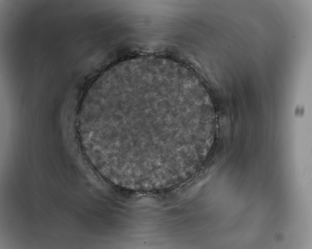 X0000102850913200809151124