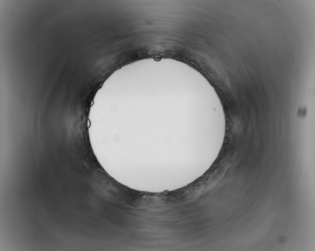 X0000102850914200809151124