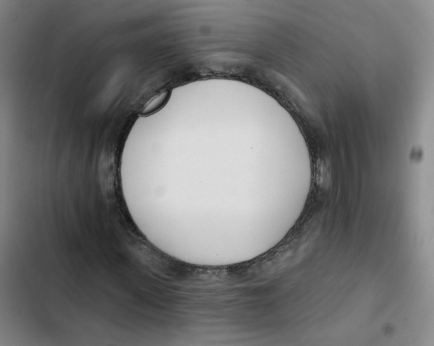 X0000102850915200809151124