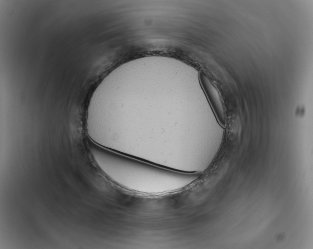 X0000102850916200809151124