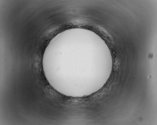 X0000102850917200809151124