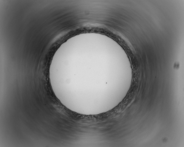 X0000102850919200809151124