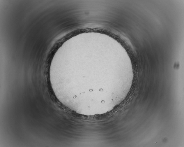 X0000102850920200809151124