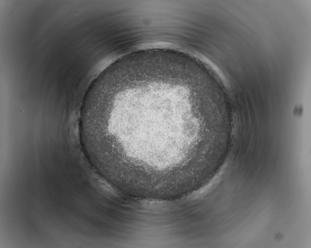 X0000102850921200809151124