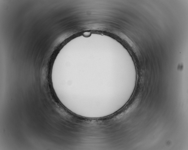 X0000102850922200809151124