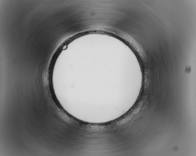 X0000102850924200809151124