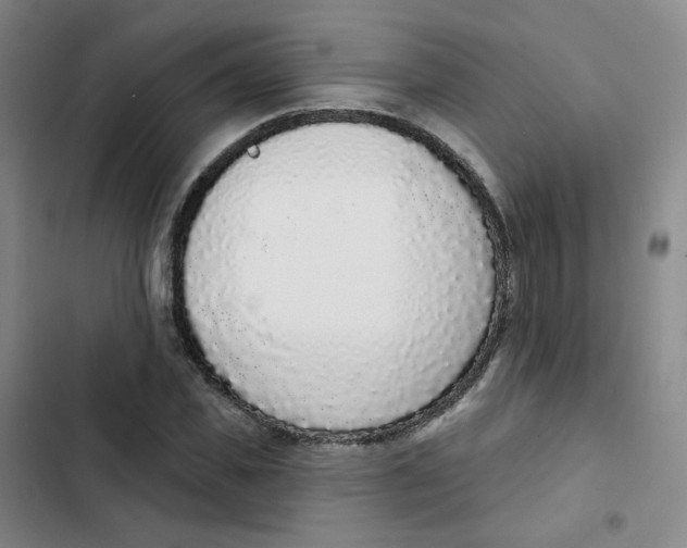 X0000102850925200809151124