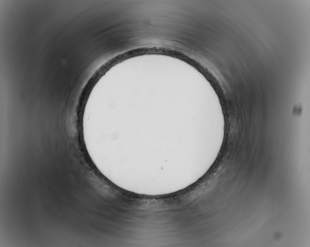 X0000102850927200809151124