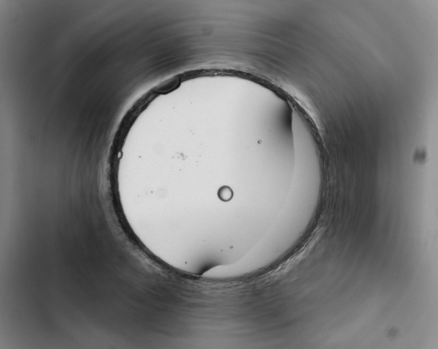 X0000102850928200809151124