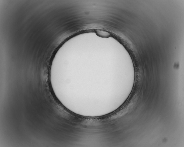 X0000102850929200809151124