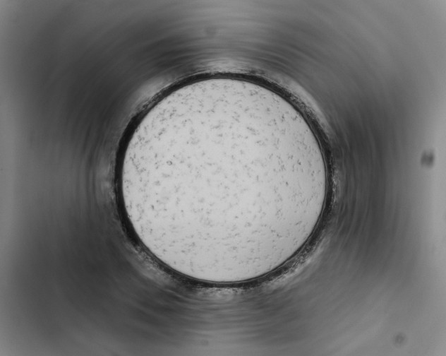 X0000102850930200809151124