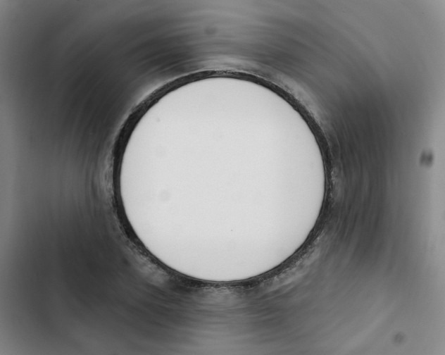 X0000102850931200809151124