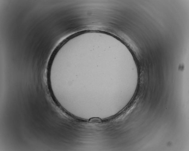 X0000102850932200809151124