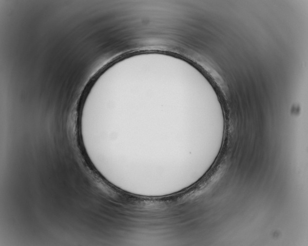 X0000102850933200809151124