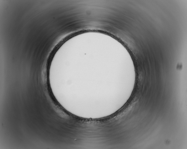 X0000102850934200809151124