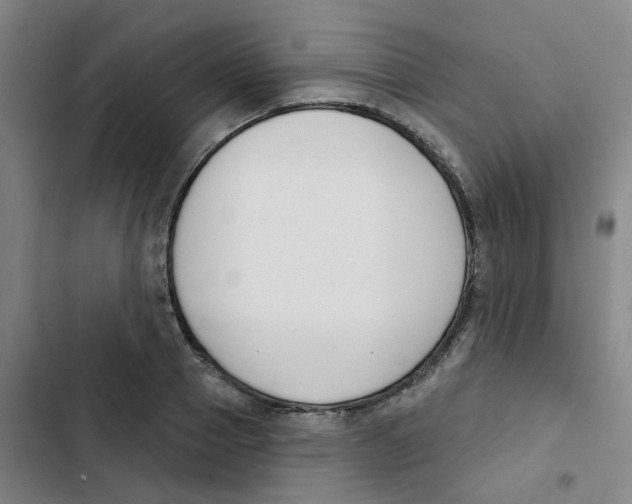 X0000102850937200809151124