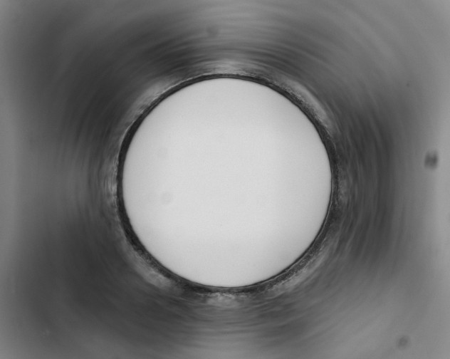 X0000102850938200809151124