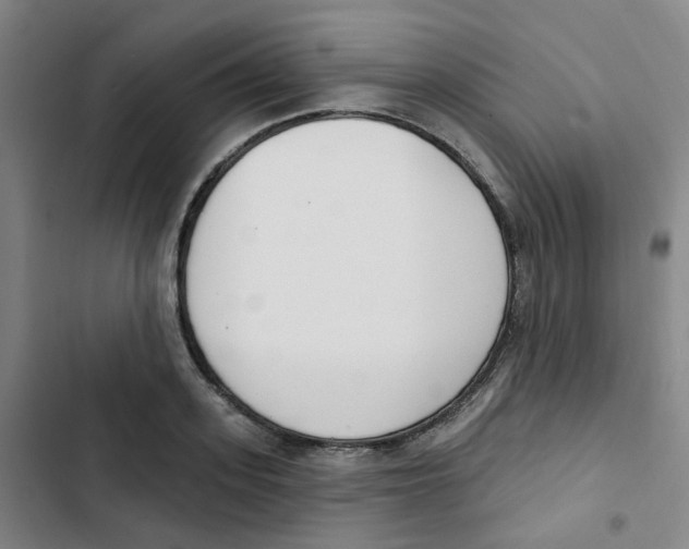 X0000102850939200809151124