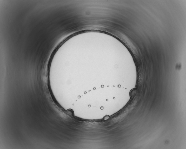 X0000102850940200809151124