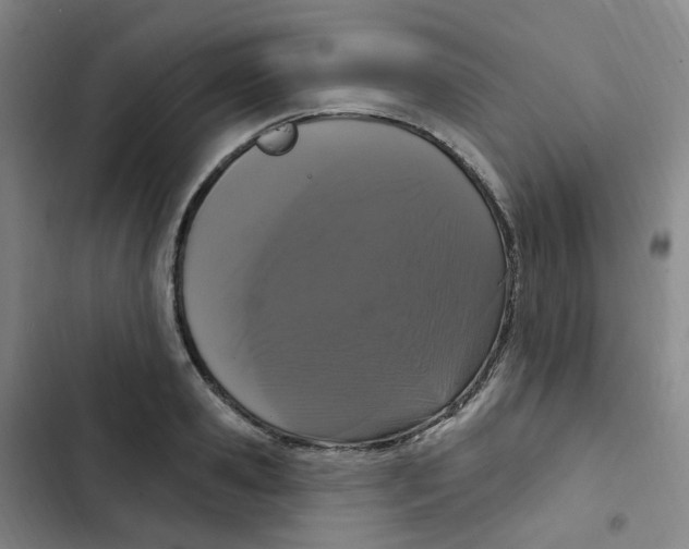 X0000102850941200809151124