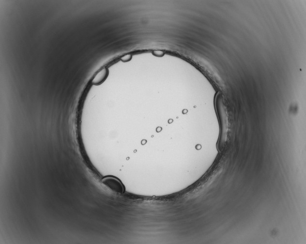 X0000102850942200809151124