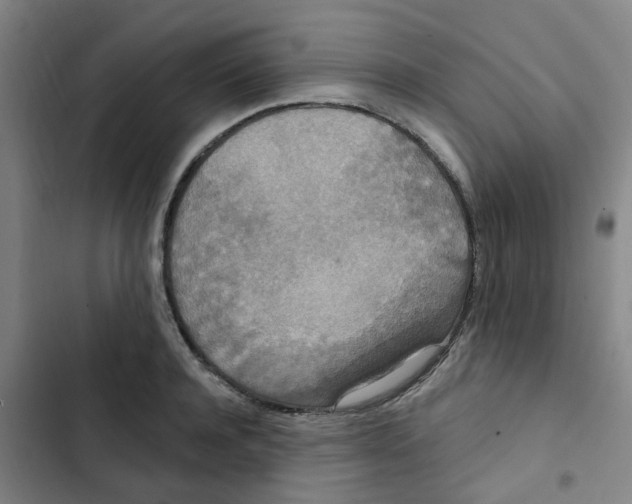 X0000102850944200809151124